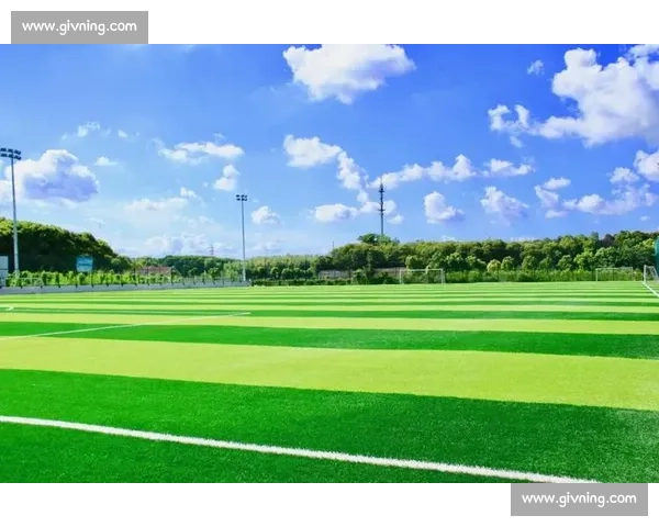 以球场为中心推动城市活力融合发展的多元公共空间新范式探索研究